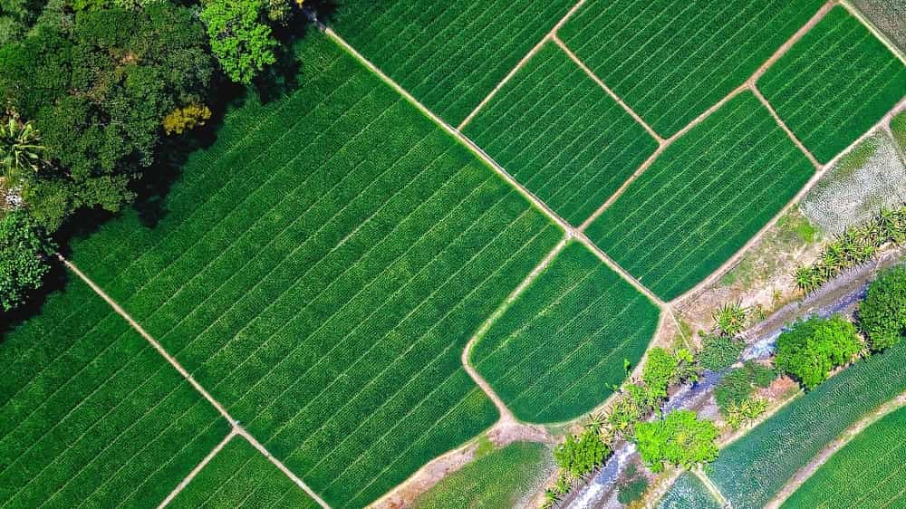 Farm land